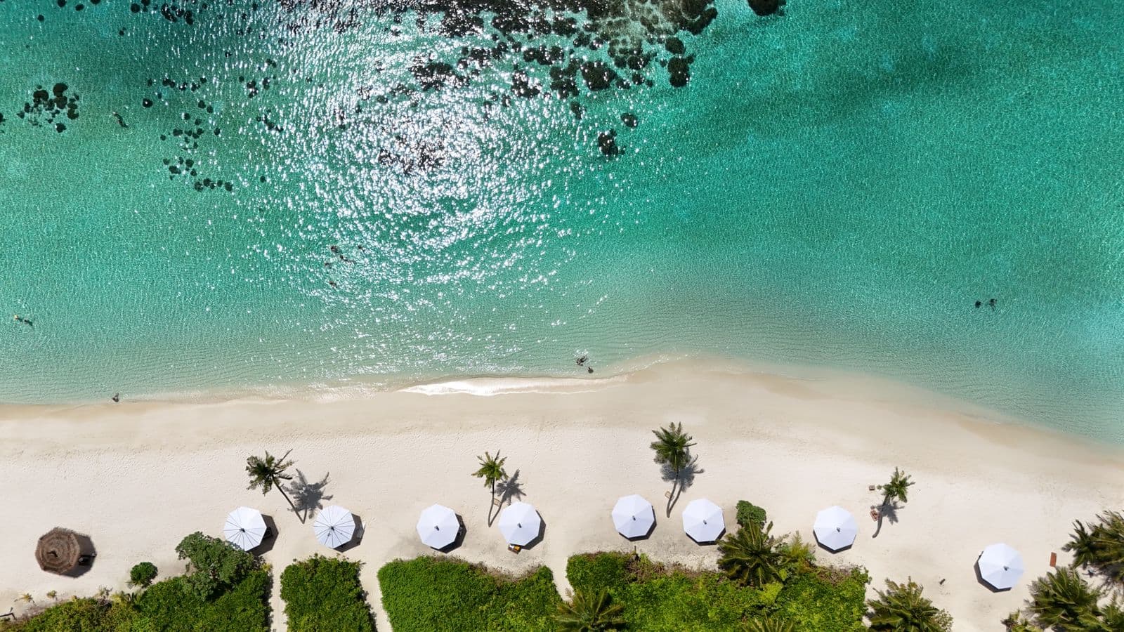 Thoddoo – The Tropical Fruit Island of the Maldives