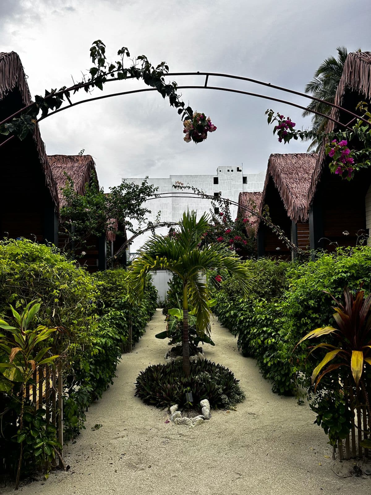 North Ari Thoddoo Villa Experience